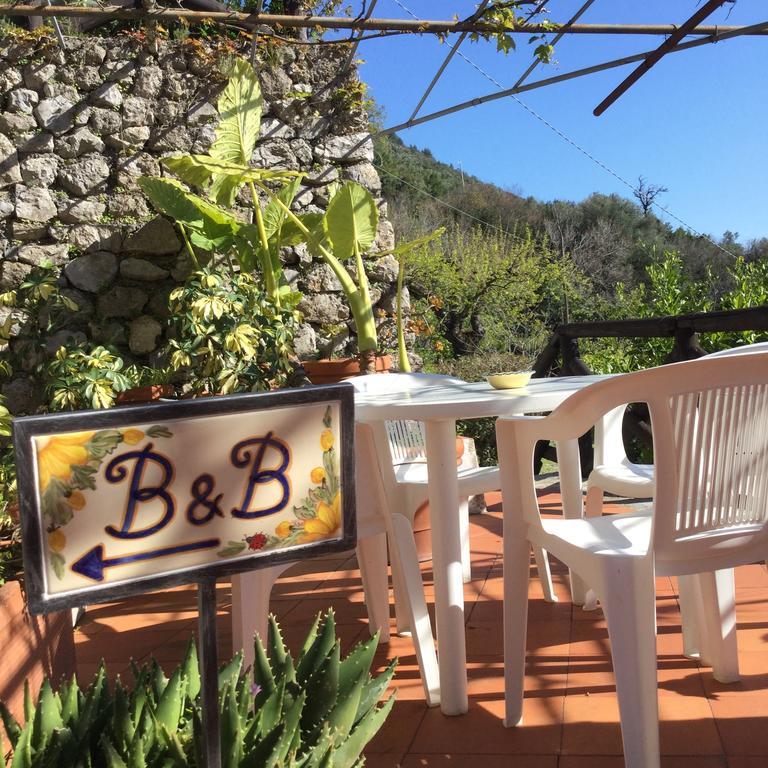 B&B Le Tre Casette Maratea Buitenkant foto