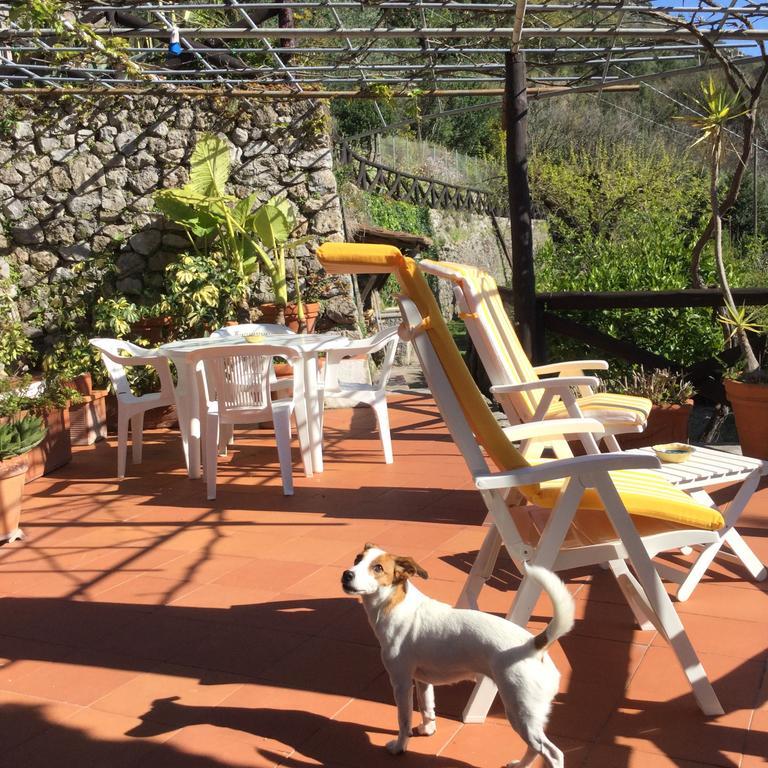 B&B Le Tre Casette Maratea Buitenkant foto