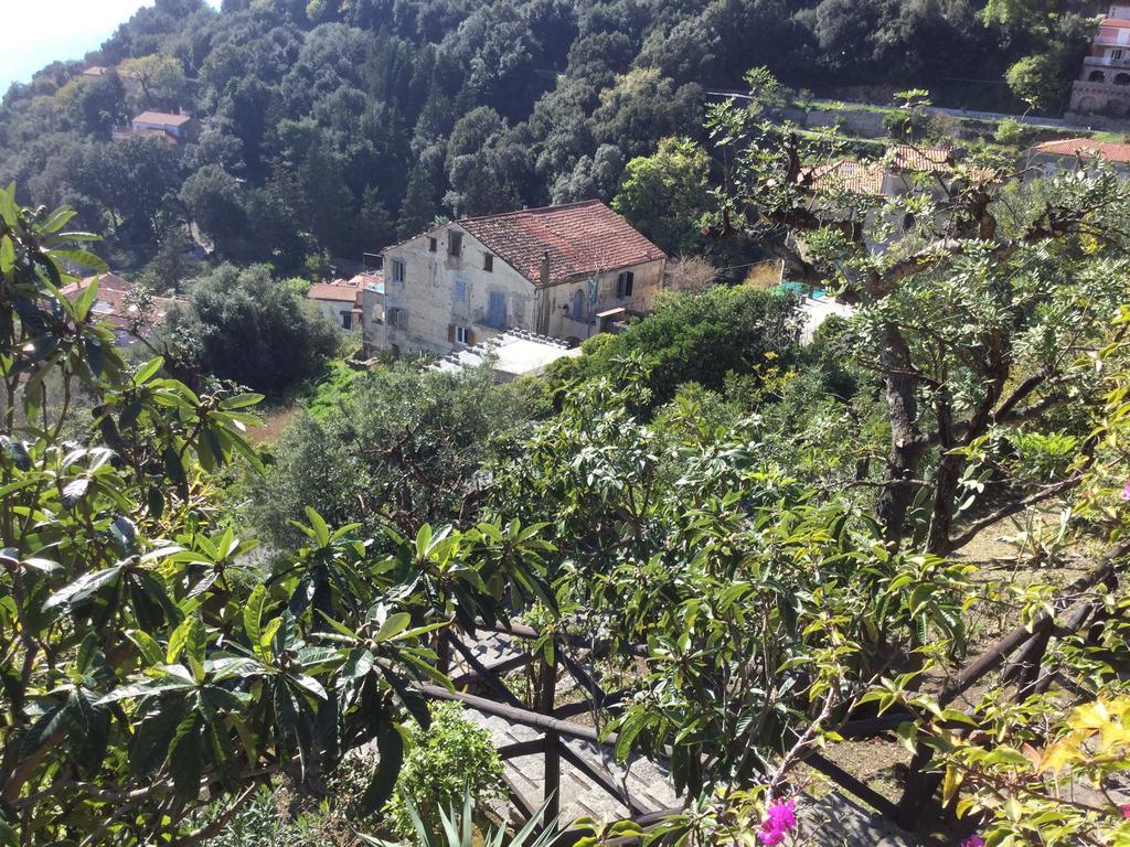 B&B Le Tre Casette Maratea Buitenkant foto