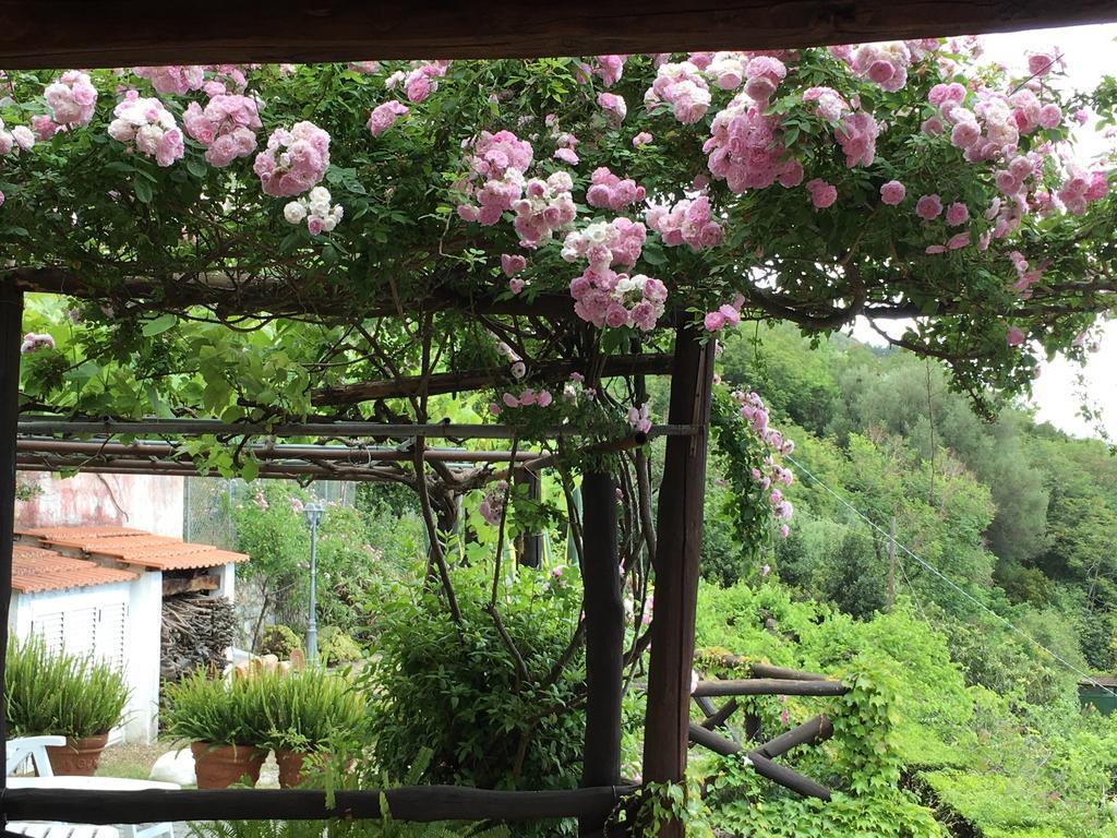 B&B Le Tre Casette Maratea Buitenkant foto